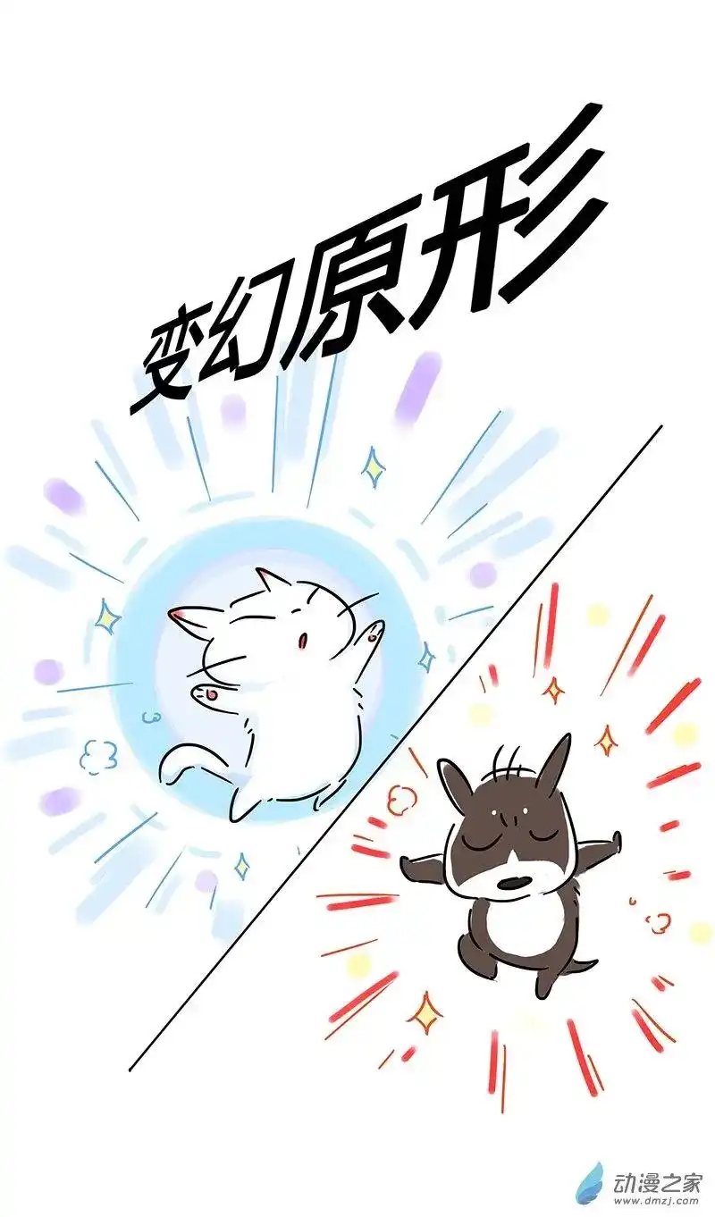 番外篇番外之抗击疫情-吾猫当仙-完美世界漫画（第4张）