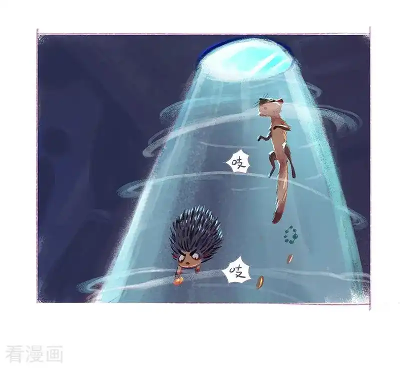 番外篇番外1-吾猫当仙-完美世界漫画（第14张）
