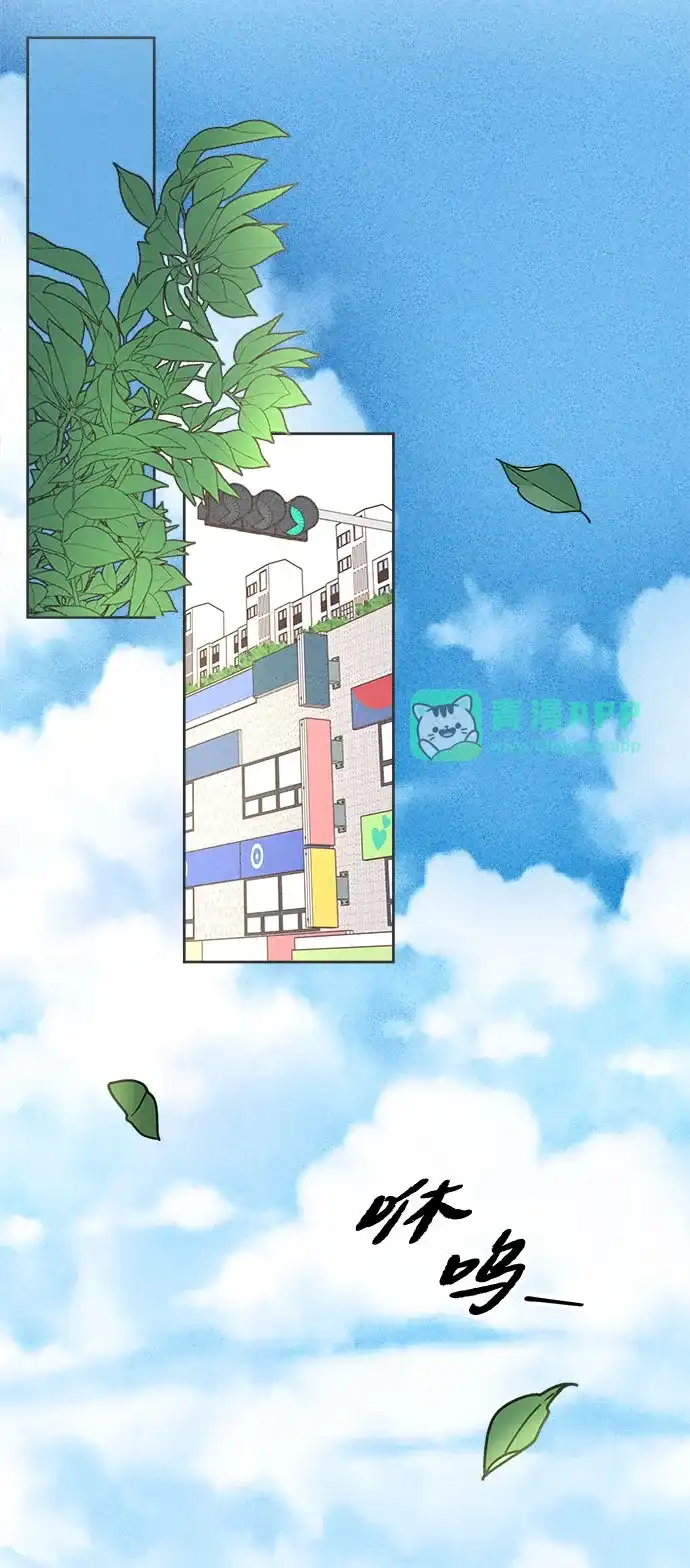 第47话-想要毁掉单恋-申夏（第15张）