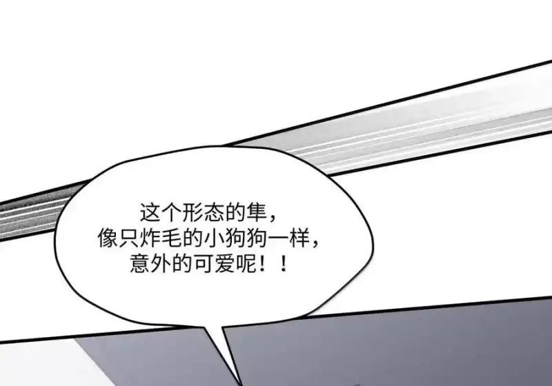 第51话银凰VS琴鸟-邪恶炼金术士搞不定自己的实验体.-云海鲸歌文化,作者: 犁墨刀（第4张）
