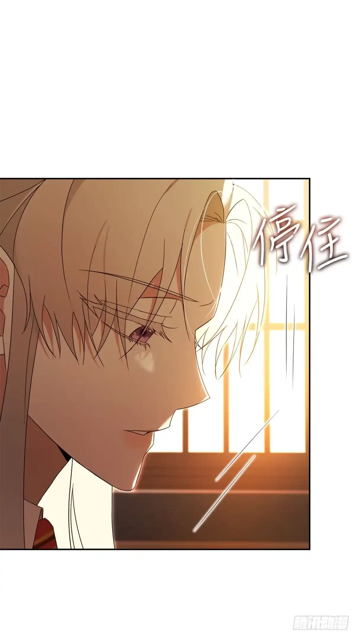 25.神秘驯兽师-学院里的天才驯兽师-（第3张）