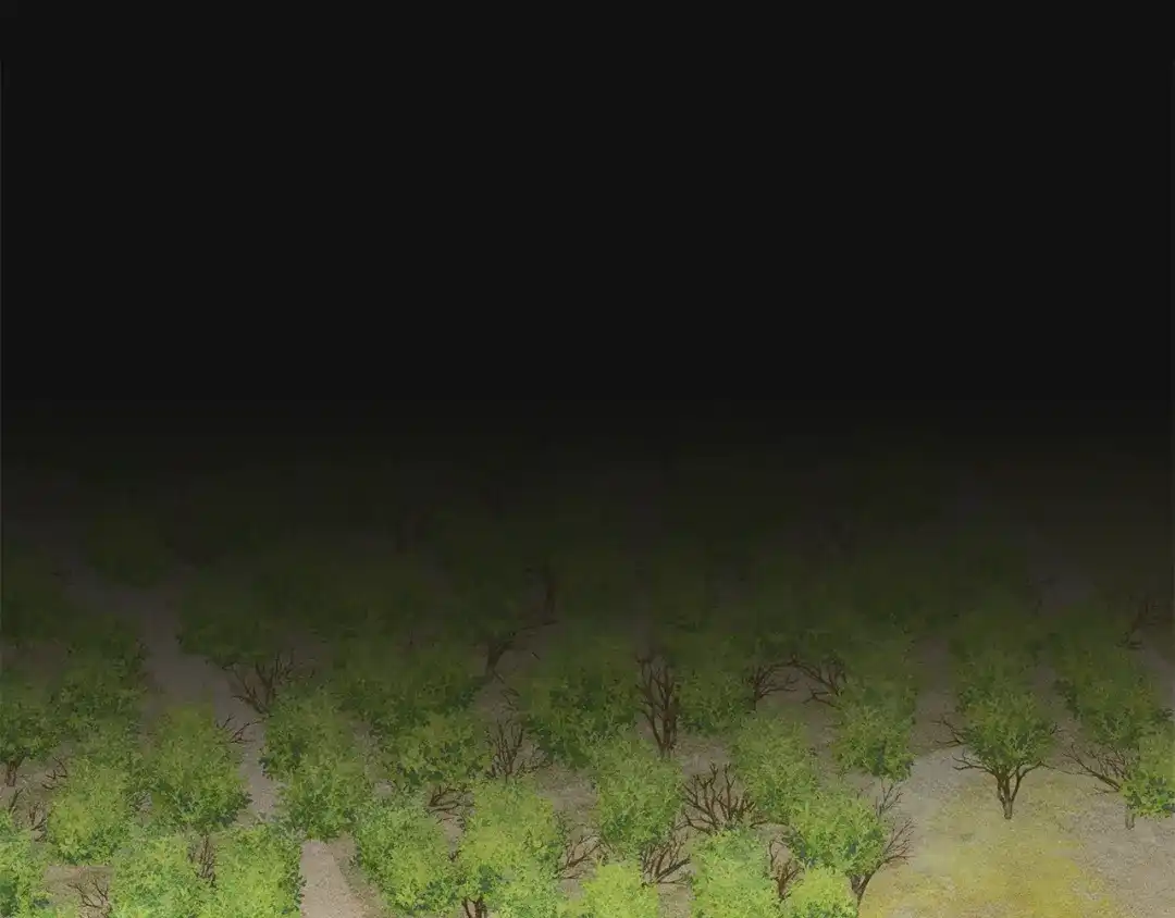 第48话朱迪斯的坚持-驯养满级怪物-Sottan（第1张）