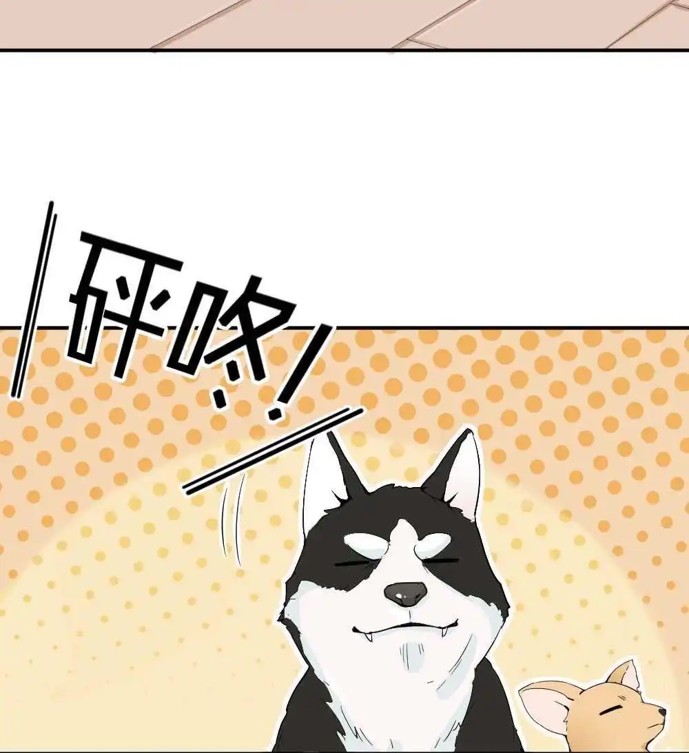 第14回哪吒下凡3-月老不准我恋爱-邱福龙（第28张）
