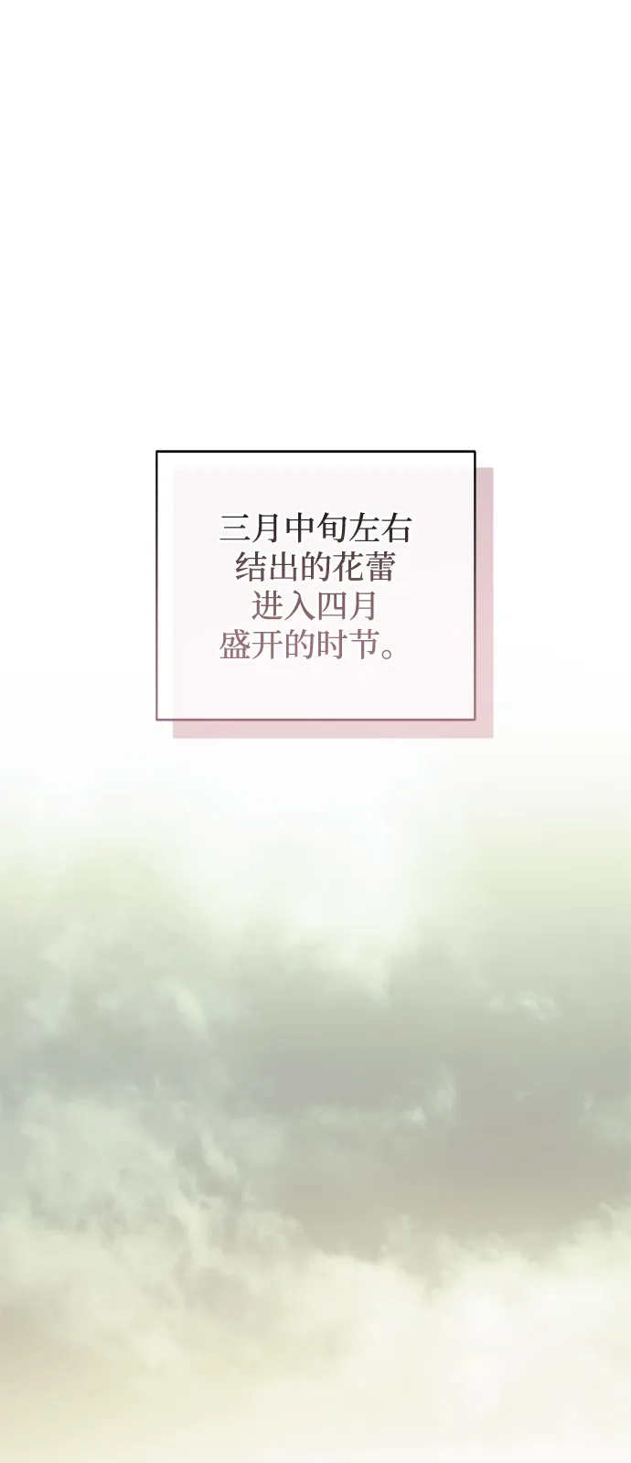 外传2话-憎恨我的丈夫失忆了-Sisse,KAREMANDU/L.C（第2张）
