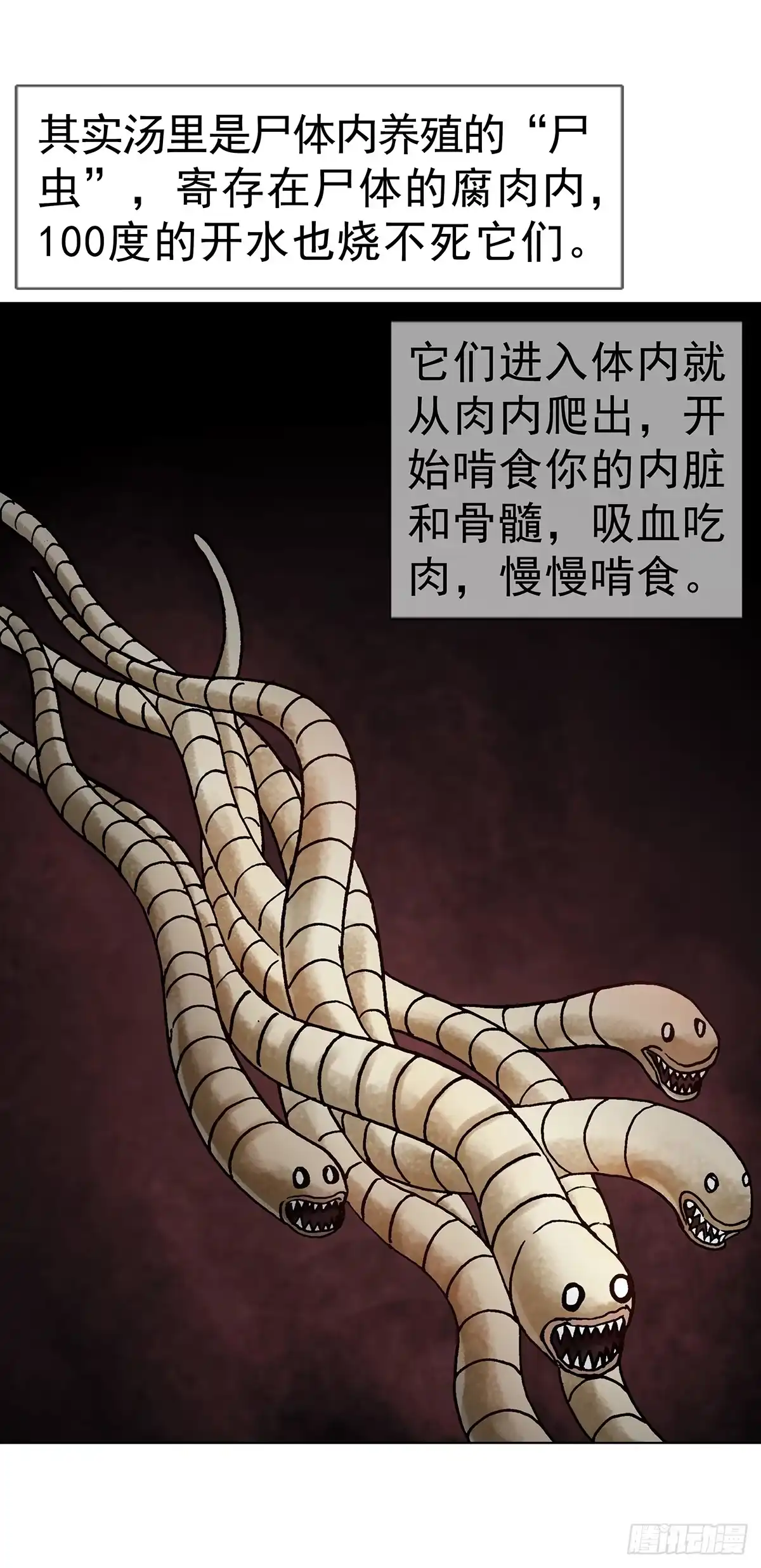 1804追踪小狐狸-中国惊奇先生（神鬼七杀令）-权迎升（第16张）