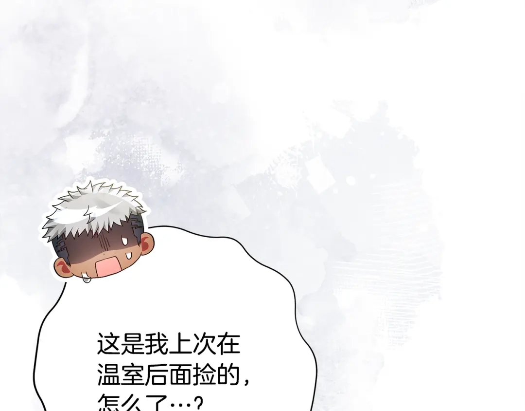 第54话树莓小偷-做好被离婚的准备-changman（第10张）