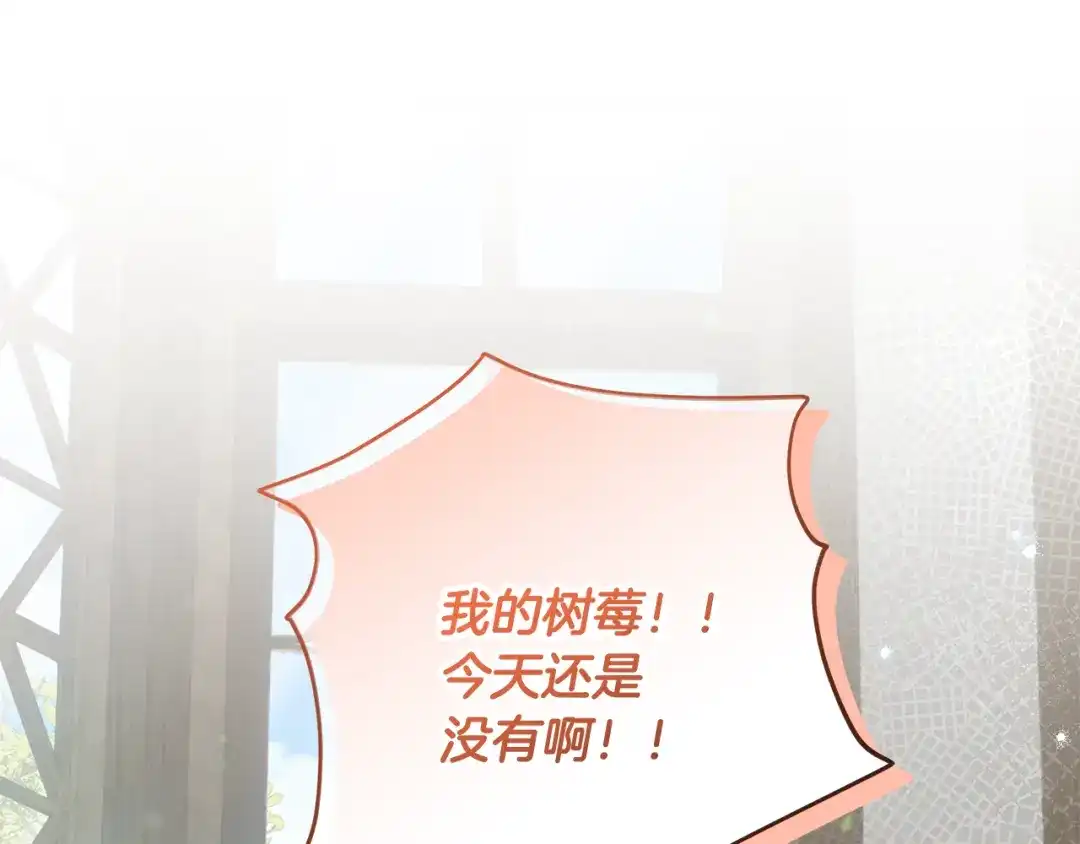 第55话神秘低级精灵-做好被离婚的准备-changman（第1张）