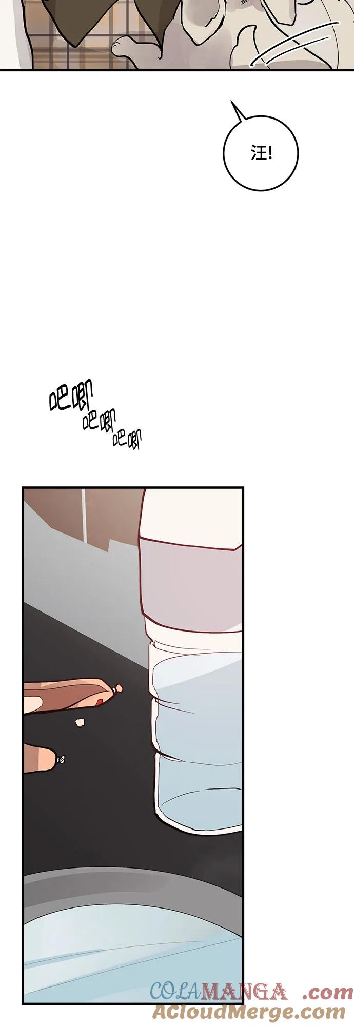 第59话-组长的新婚生活很疲惫-HADA,janggreen（第3张）