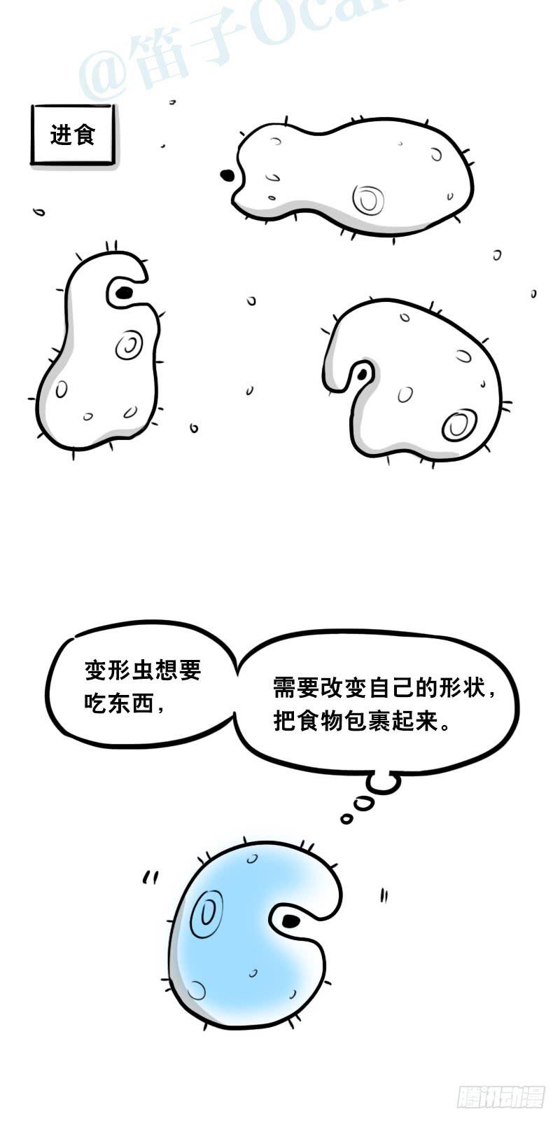 319人上之人-小绿和小蓝-Ocarina（第8张）
