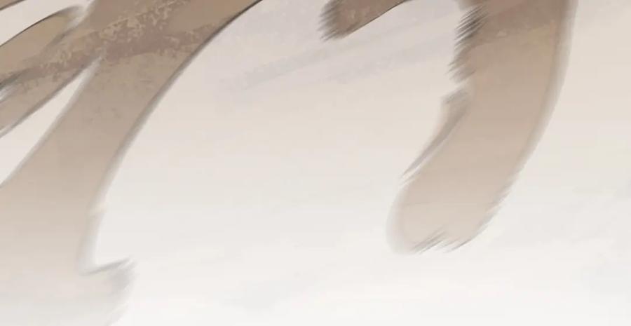 243.jpg