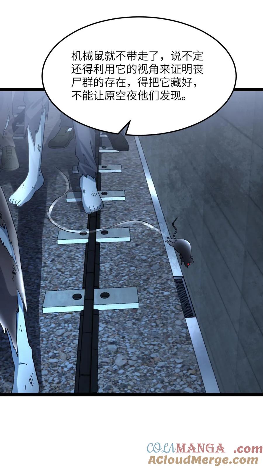 19.jpg