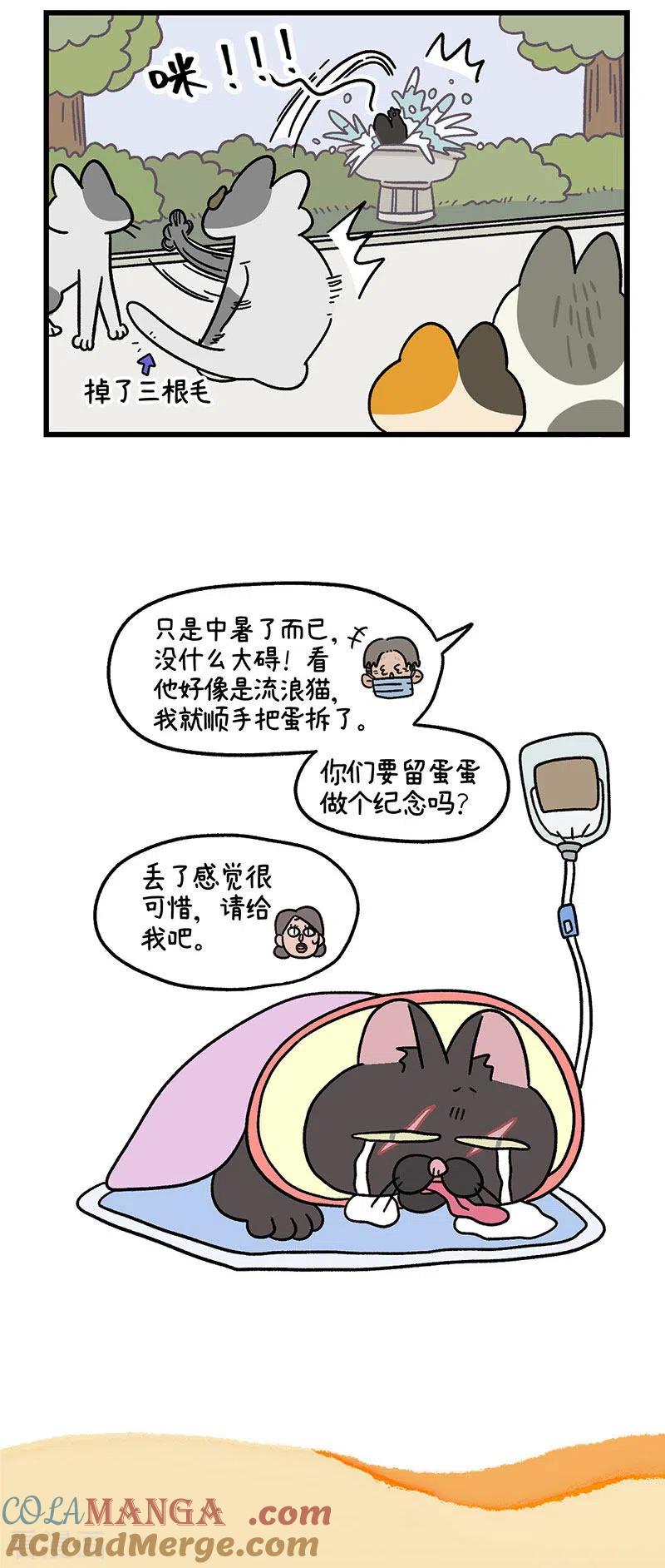 第40话2老大的危机-阿满和麦茶-新漫画 日胖大海寺（第6张）