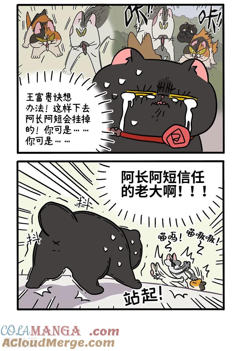 第40话2老大的危机-阿满和麦茶-新漫画 日胖大海寺（第4张）