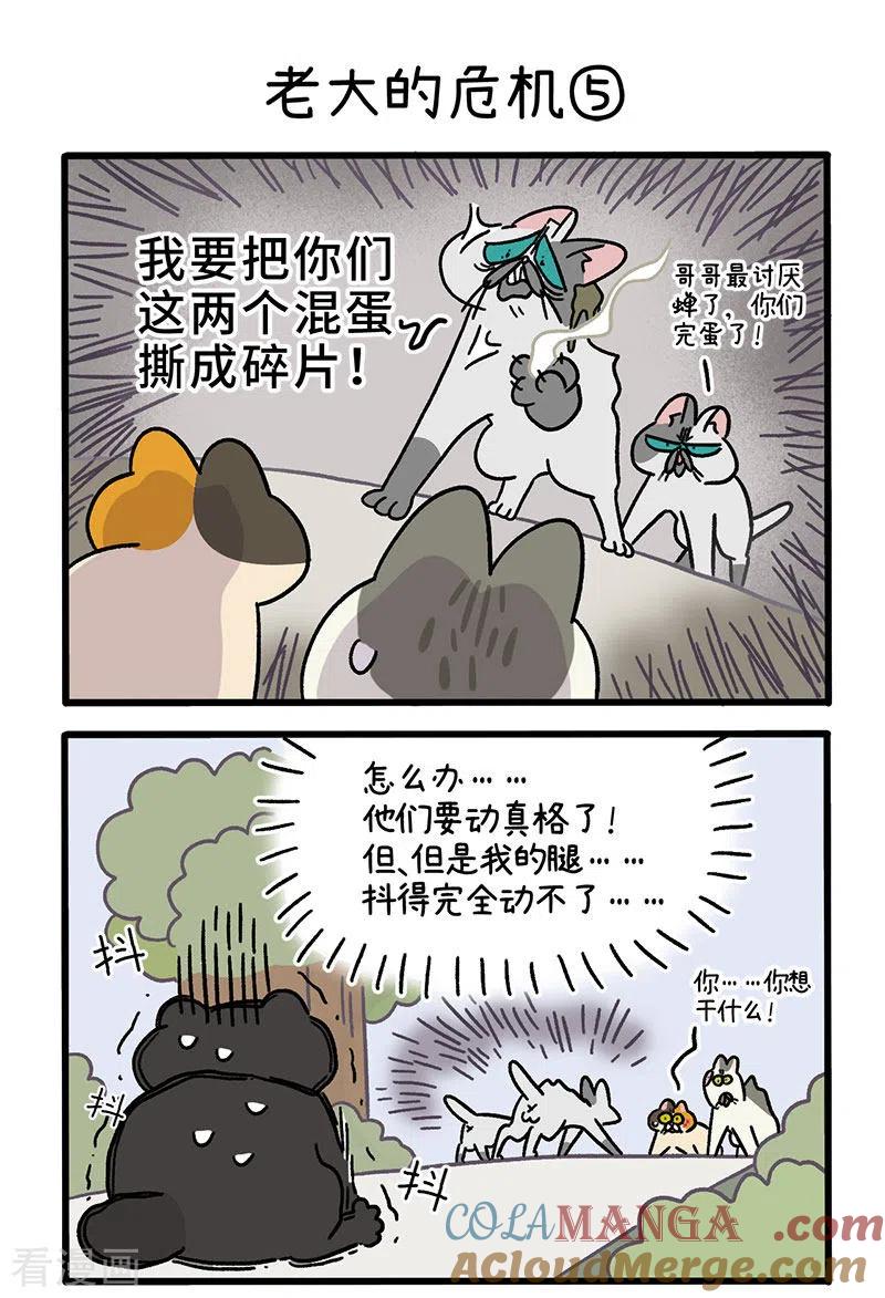 第40话2老大的危机-阿满和麦茶-新漫画 日胖大海寺（第3张）