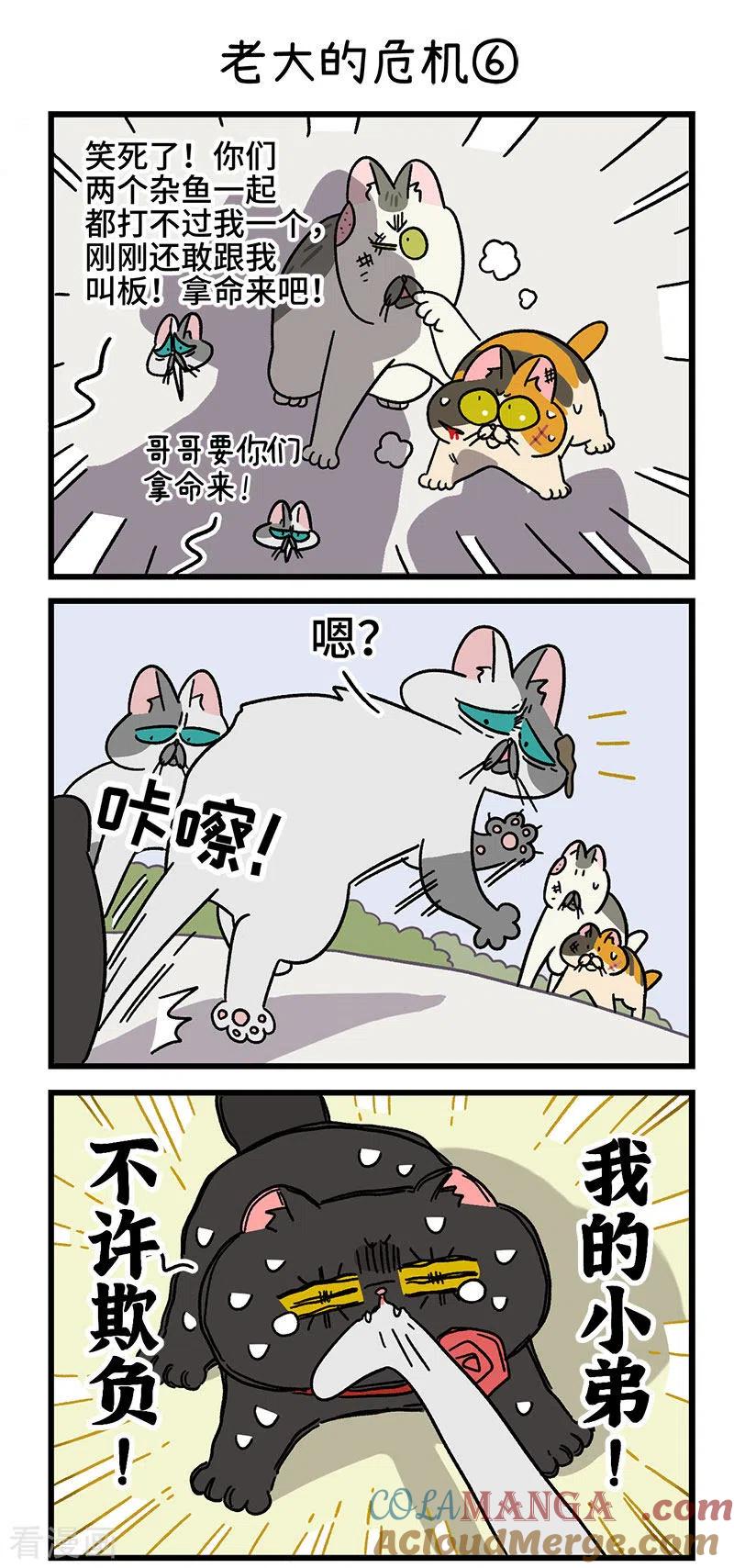 第40话2老大的危机-阿满和麦茶-新漫画 日胖大海寺（第5张）
