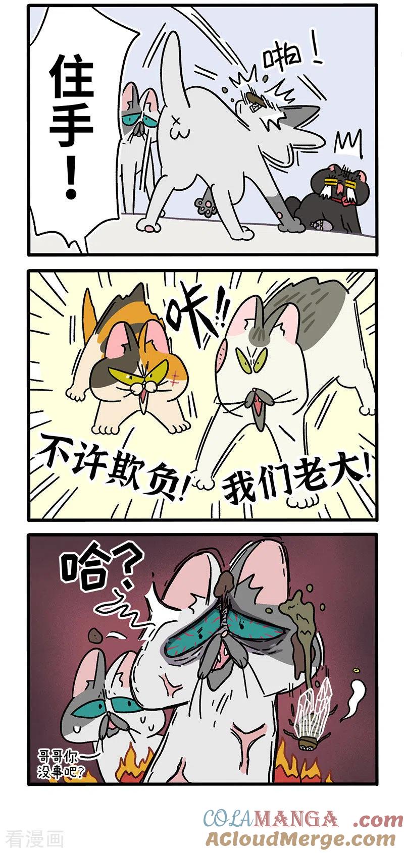 第40话2老大的危机-阿满和麦茶-新漫画 日胖大海寺（第2张）