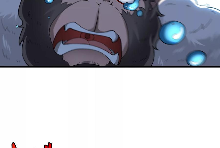 63.jpg