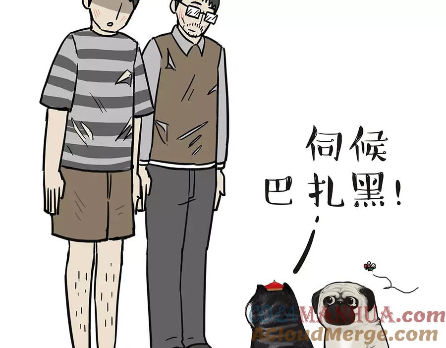49.jpg