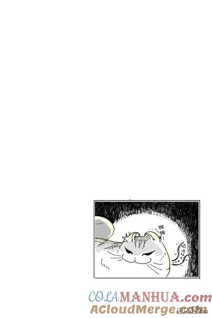 第5话-关于养猫我一直是新手-キュルZ（第6张）
