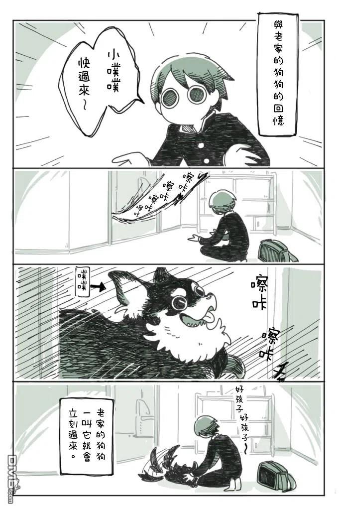 第5话-关于养猫我一直是新手-キュルZ（第1张）