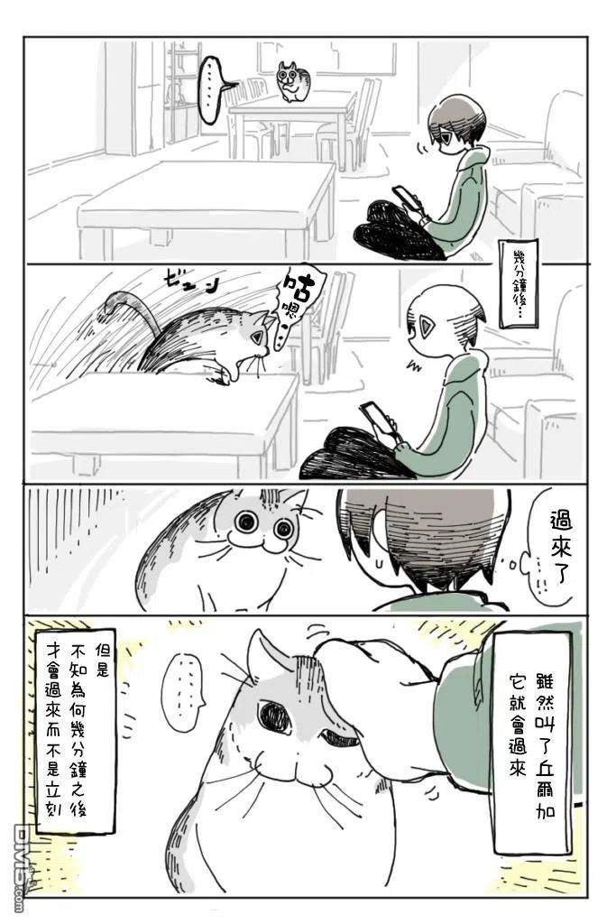第5话-关于养猫我一直是新手-キュルZ（第3张）
