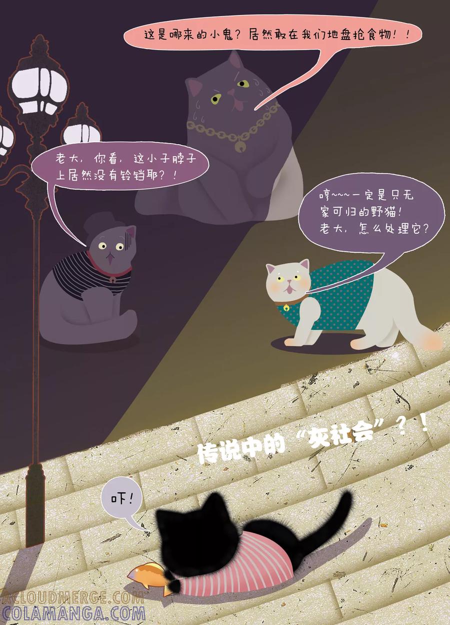 第3话陌生的小镇-DIOR的迁徙日志-漫言星空（第5张）