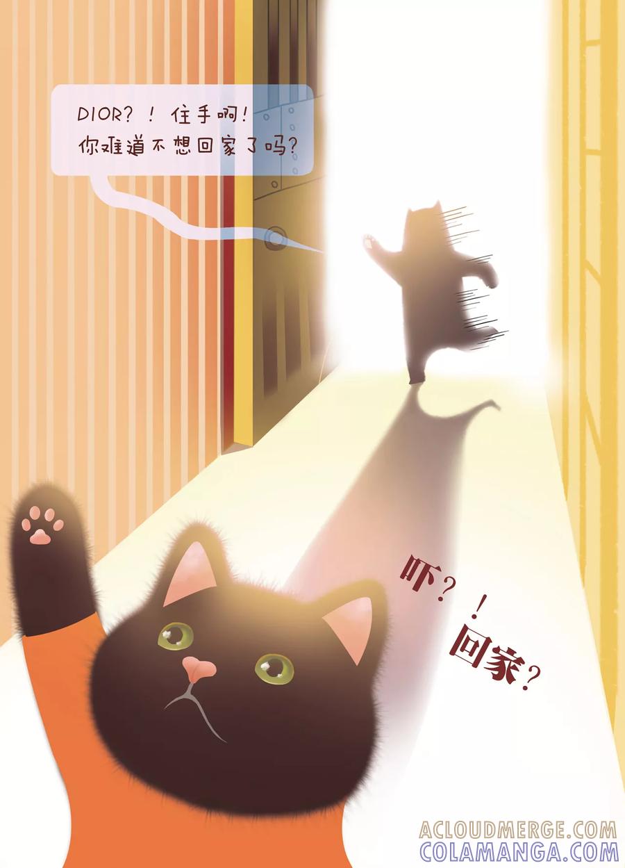 第4话你也会孤单吗？-DIOR的迁徙日志-漫言星空（第5张）