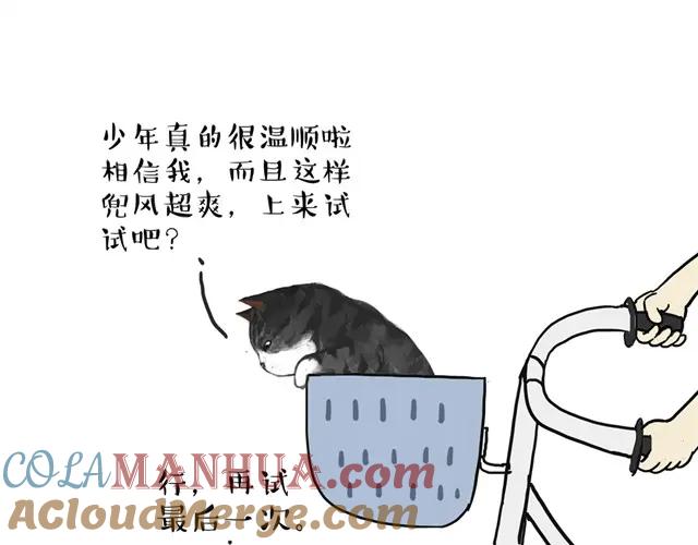 13.jpg