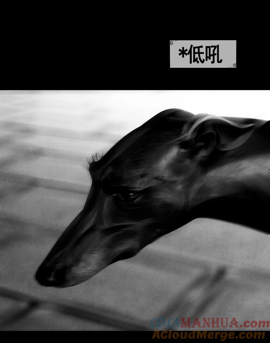第46话猫-AISHA-法吉特,水得星文化（第34张）