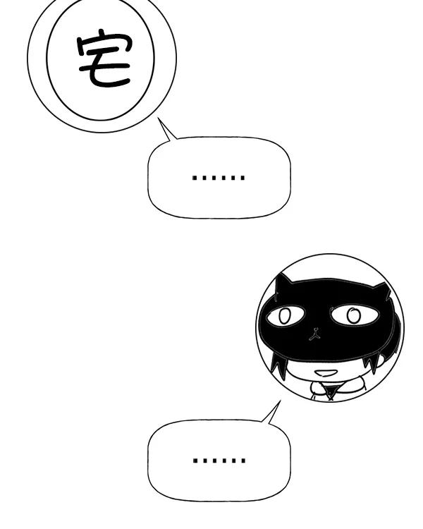 232.jpg