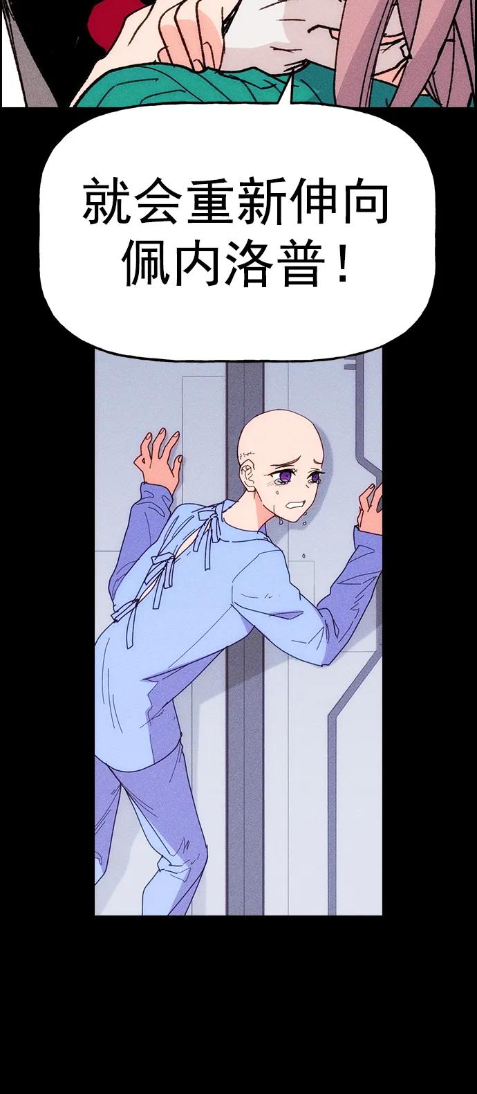 62.jpg