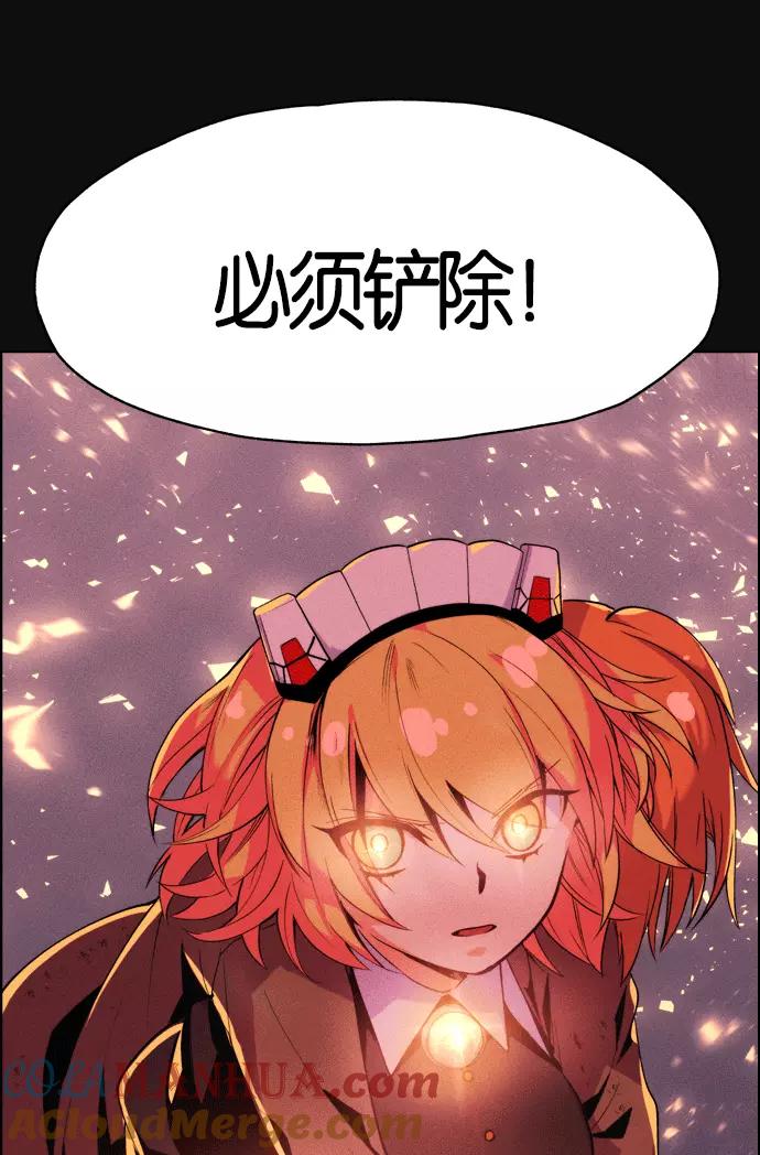 213.jpg
