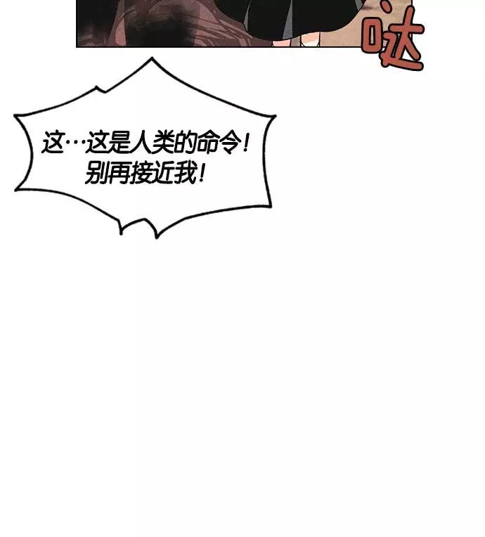 110.jpg