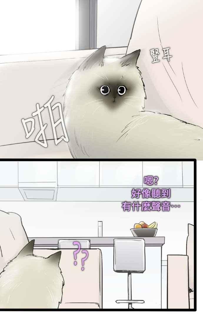 第43话-先热情地打扫吧？！-AENGO（第10张）