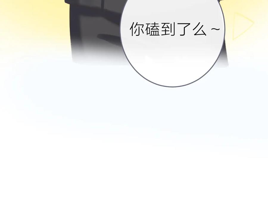 54.jpg