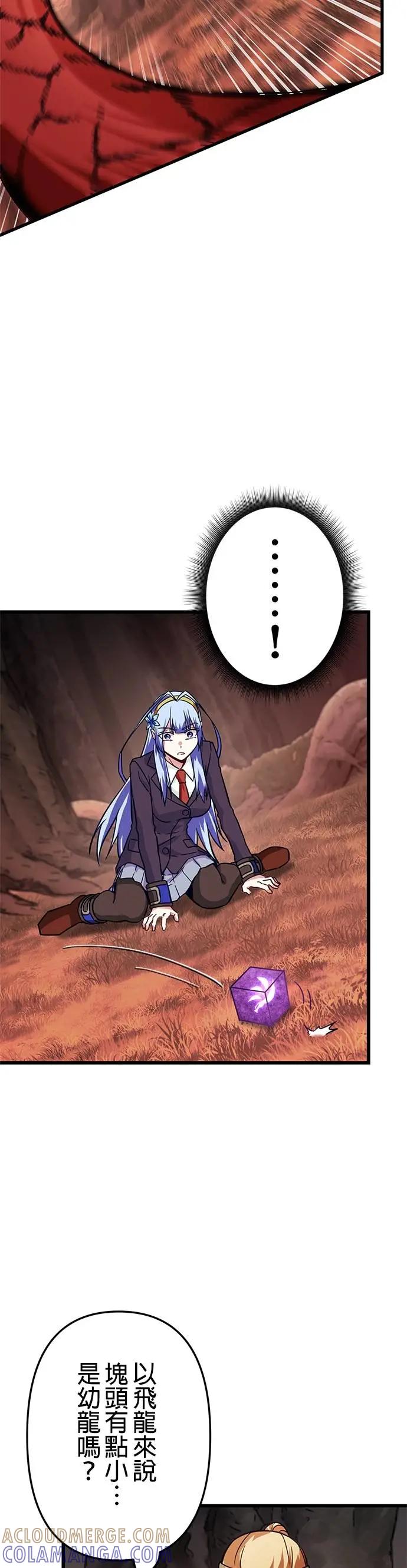 40.jpg