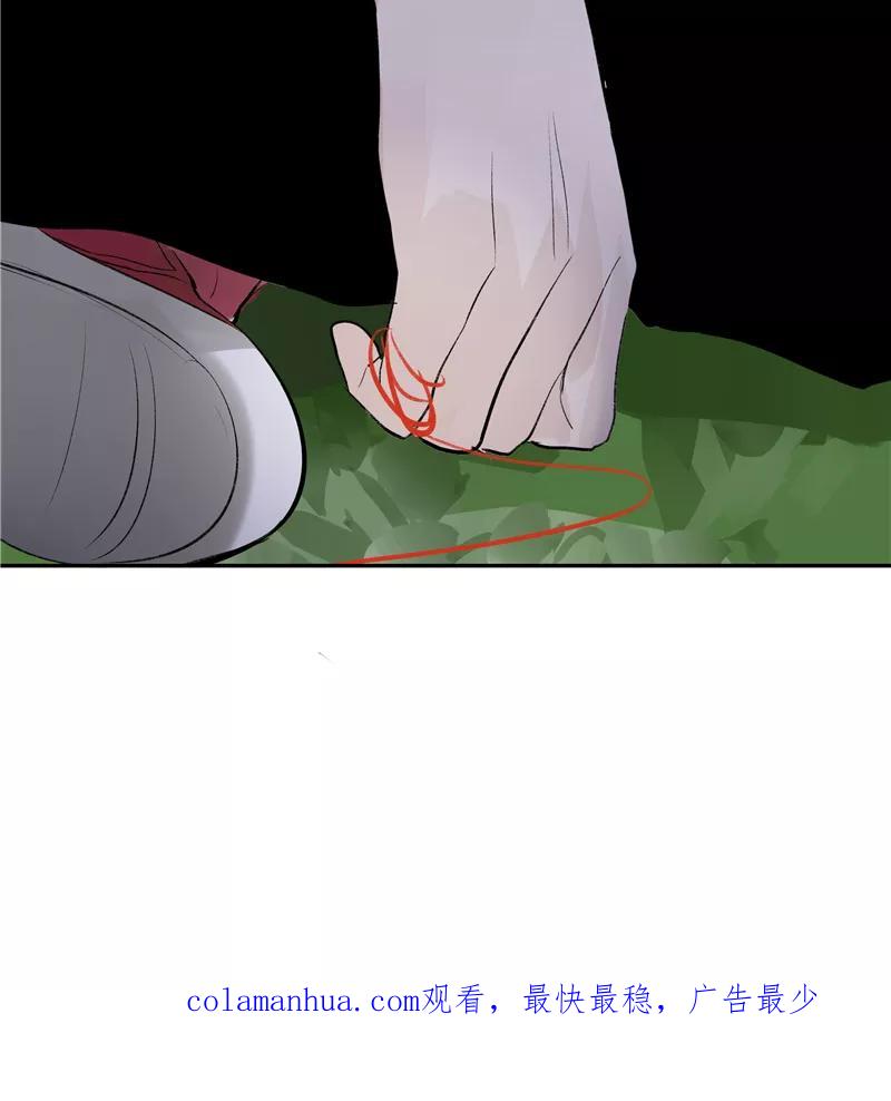 48.jpg