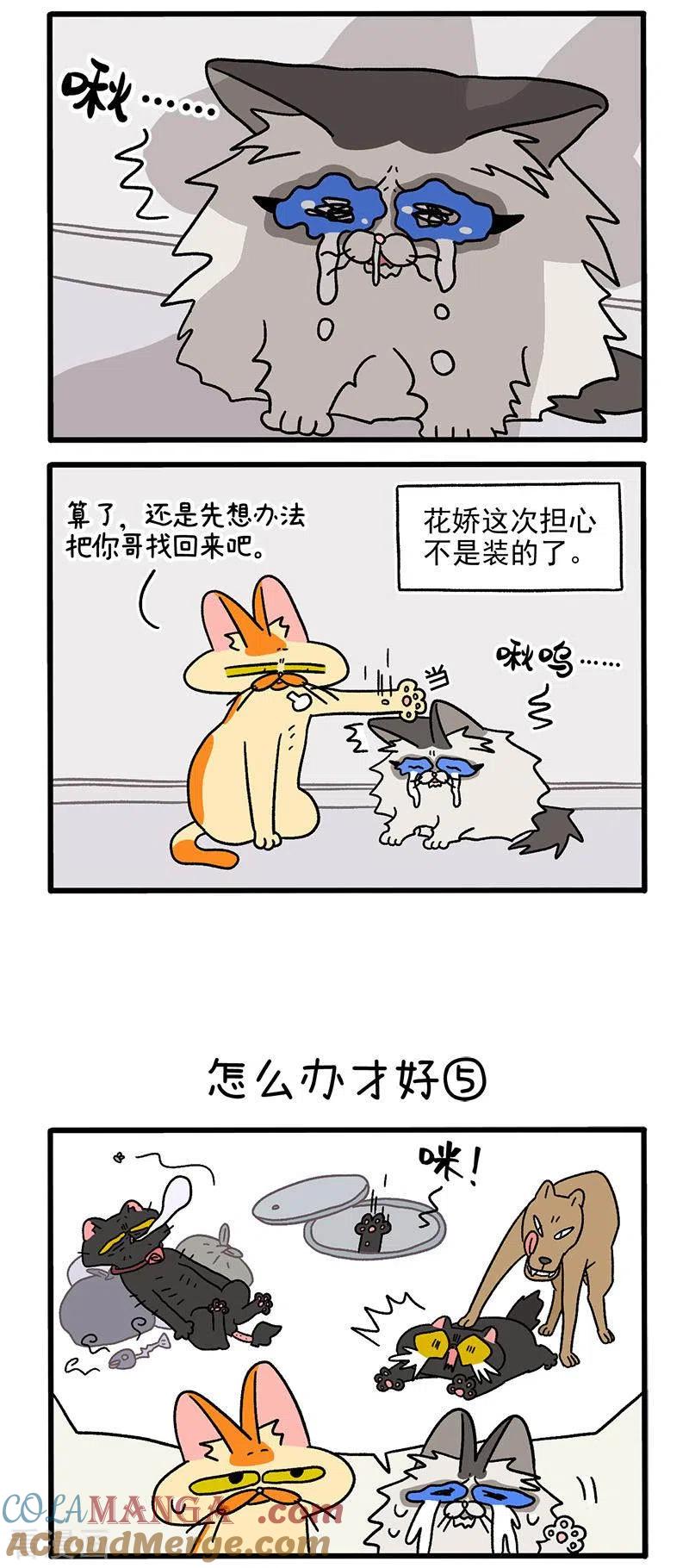 第39话2怎么办才好-阿满和麦茶-新漫画 日胖大海寺（第2张）
