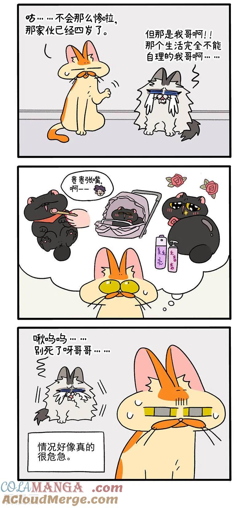 第39话2怎么办才好-阿满和麦茶-新漫画 日胖大海寺（第3张）