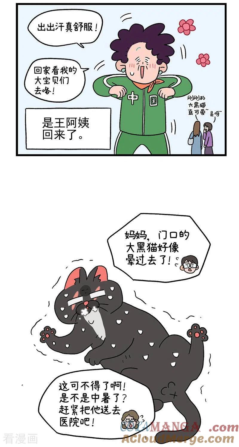 第39话2怎么办才好-阿满和麦茶-新漫画 日胖大海寺（第5张）