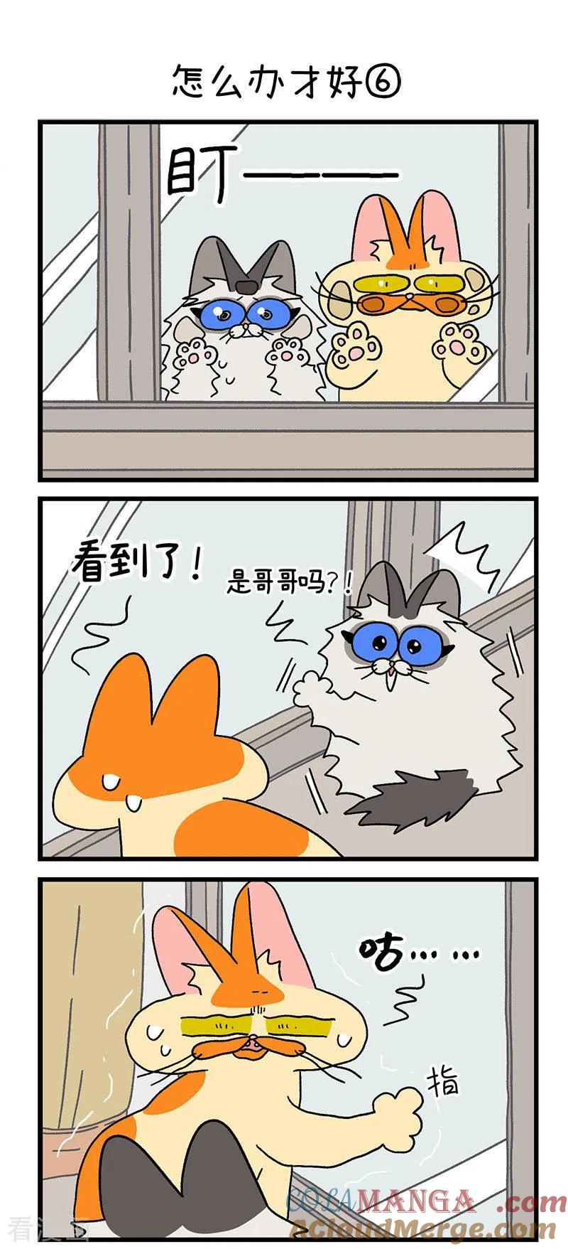 第39话2怎么办才好-阿满和麦茶-新漫画 日胖大海寺（第4张）