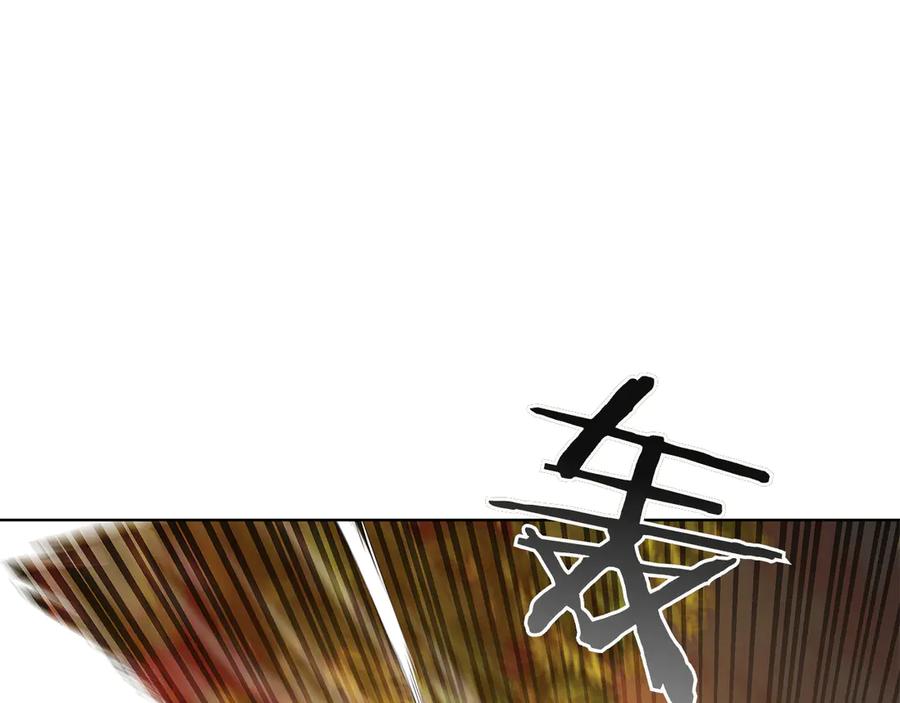 196.jpg