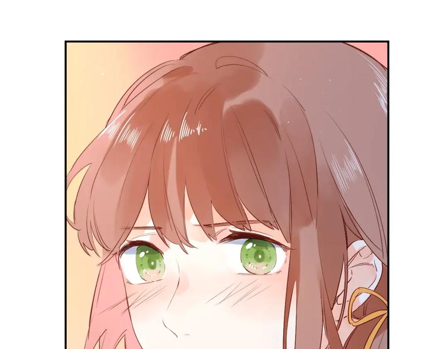 164.jpg