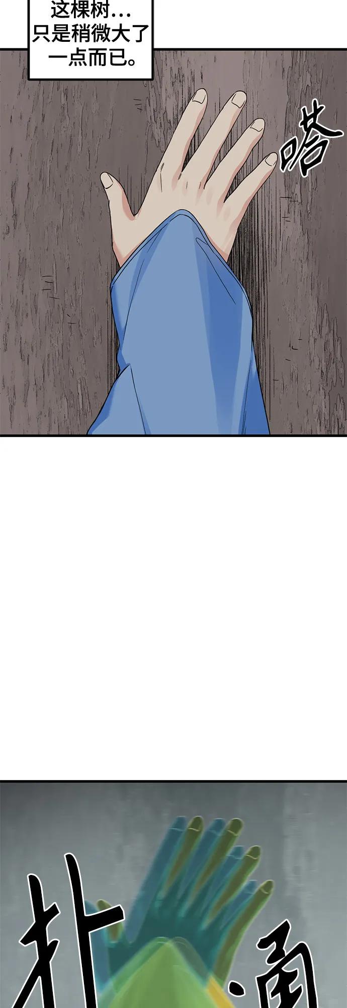 62.jpg