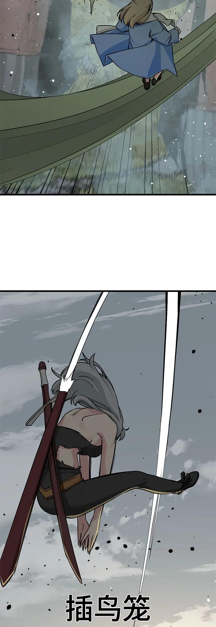 47.jpg