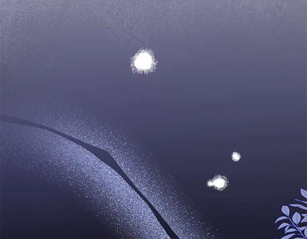 211.jpg