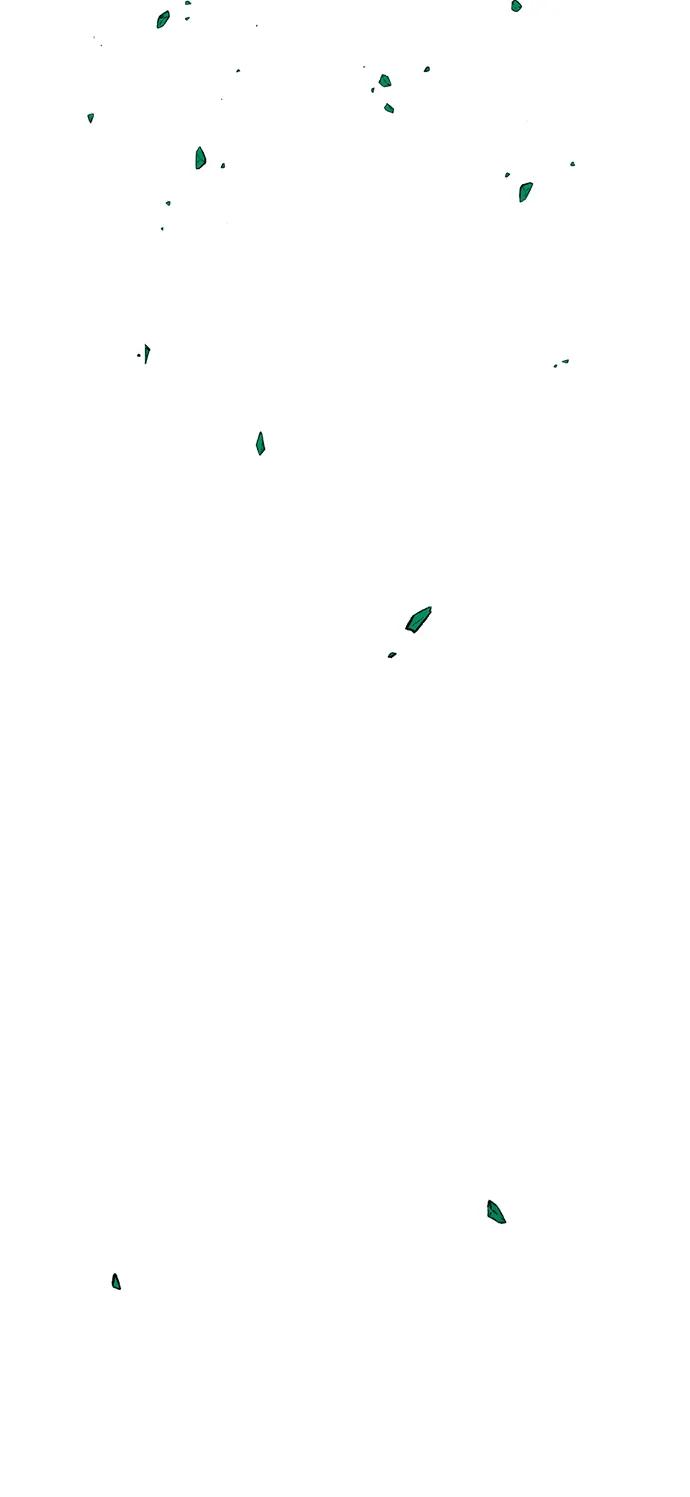 98.jpg
