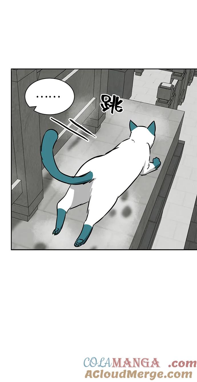 85.jpg