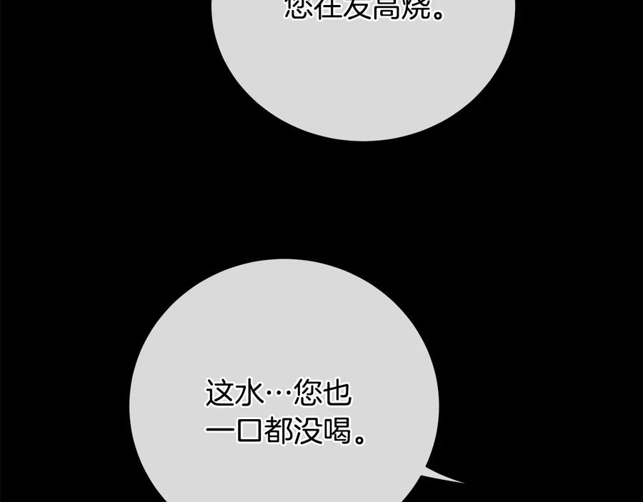 146.jpg