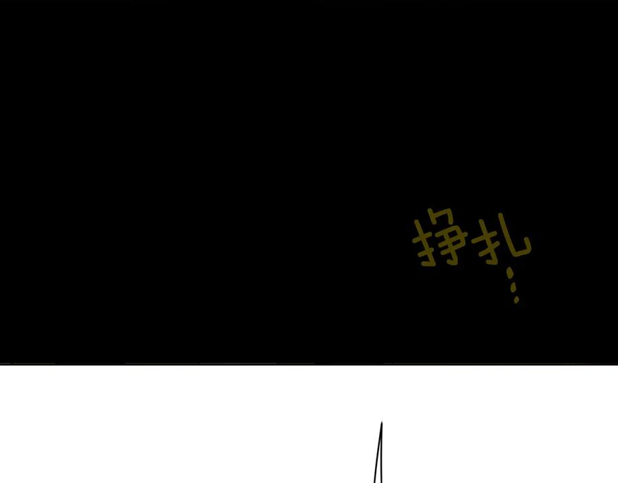 123.jpg
